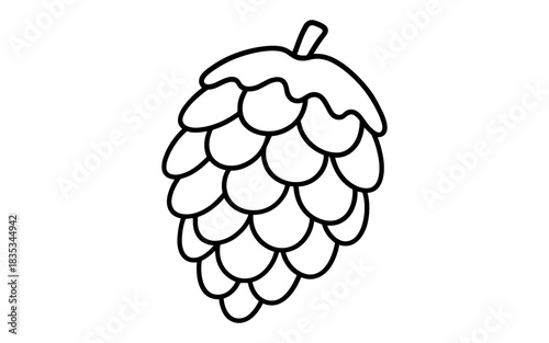 Outline of a hop cone for beer brewing and botanical studies