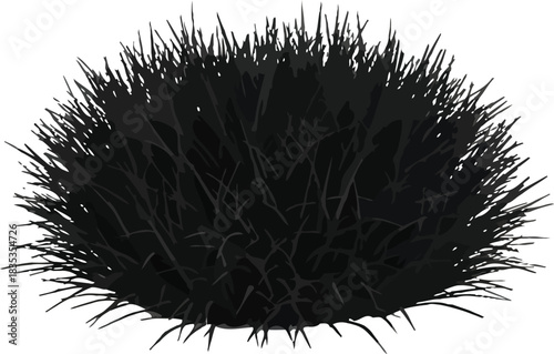 Black grass ornamental plant garden landscaping texture background nature dark