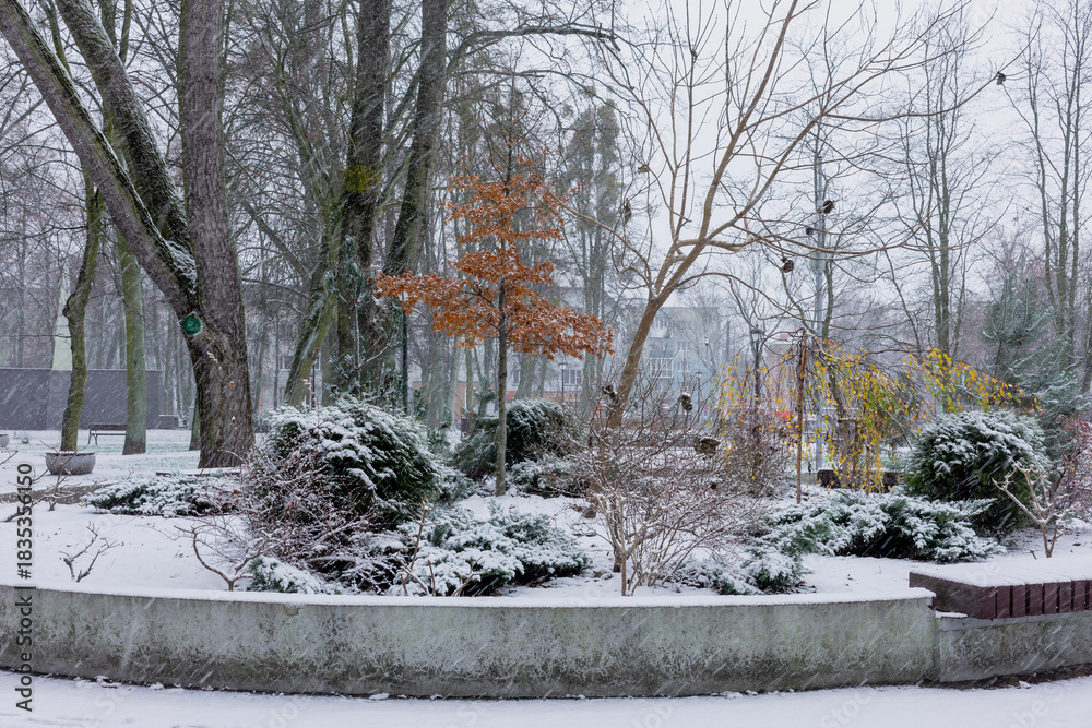 Naklejka premium Snow-covered public park with trees and bushes during snowstorm.