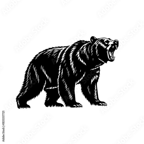 A powerful black bear roars aggressively in a striking black and white woodcut illustration.