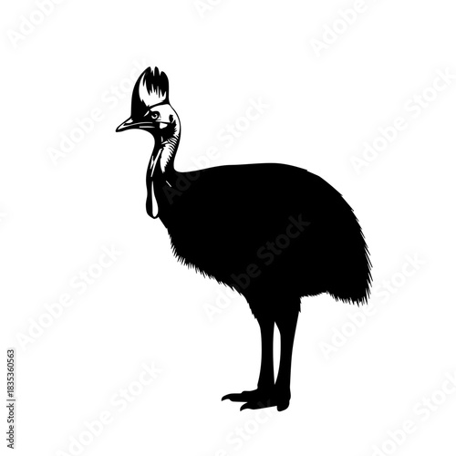 A black silhouette of a cassowary bird standing in profile, isolated on a white background.