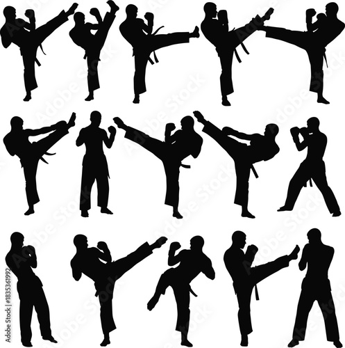 Martial arts silhouettes, karate fighters kicking and sparring, training action poses, combat practice illustration, black silhouette set, martial artist movements, self-defense technique figures