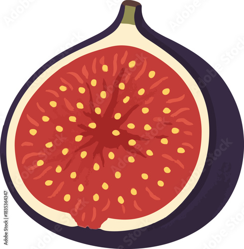 Half of a Ripe Fig with Seeds fruit purple