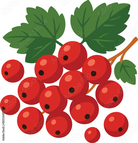 Red Currants With Green Leaves On A Branch berry fruit