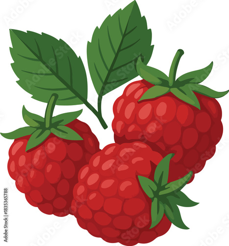 Three Ripe Raspberries with Green Leaves raspberry