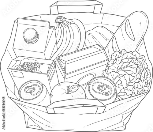 Grocery bag food shopping produce market healthy nutrition diet fresh eat