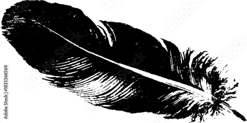 Black and white bird feather stencil illustration for nature-themed designs