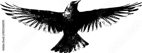 Black and white bird wing silhouette stencil art for urban decor