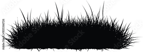 Grass silhouette nature plant lawn garden meadow field growth summer spring