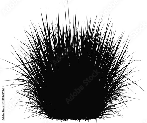 Grass black plant silhouette nature garden weed isolated bush growth field