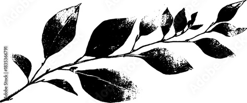 Monochrome botanical stem stencil illustration for nature art and design
