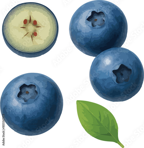 Blueberries With A Slice And Green Leaf blueberry fruit