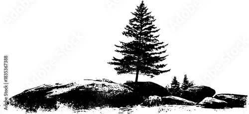 Black and white stencil illustration of coastal pine on rocky landscape for art and decor