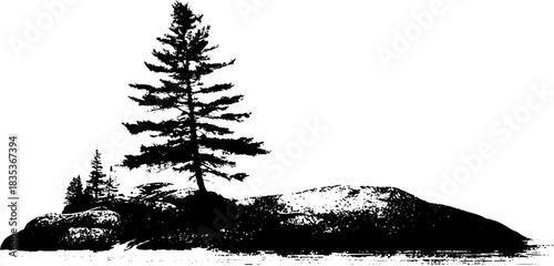 Black and white stencil illustration of coastal pine on rocky shoreline for art and design