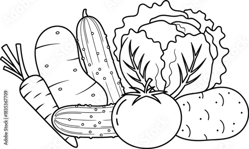 Vegetables carrot cucumber cabbage tomato potato food healthy diet fresh raw