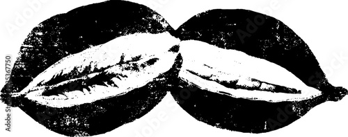 Black and white stencil illustration of cross sectioned seed