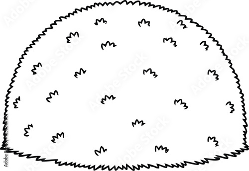 Bush shrub plant garden nature outdoor landscaping foliage greenery environment park