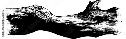 Black and white driftwood stencil illustration for natural design projects