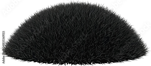 Black grass dark plant nature texture background field garden isolated lawn