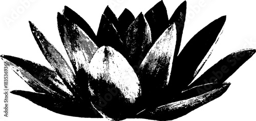 Monochrome lotus stencil art - abstract floral design for creative projects