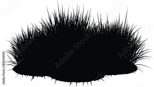 Grass silhouette nature plant garden lawn growth isolated black weed field