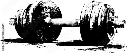 Black and white dumbbell stencil illustration for fitness and gym design projects