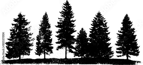 Black and white pine forest silhouette for nature design