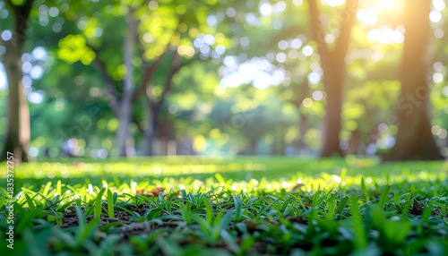 Fototapeta Naklejka Na Ścianę i Meble -  Vibrant green grass blades catch sunbeams in a dreamy park setting