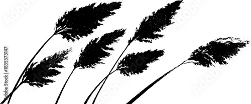 Monochrome alpine meadow grasses stencil design for nature art projects