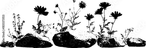 Black and white alpine wildflowers stencil illustration for nature design