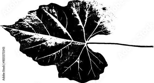 Abstract leaf vein design for nature inspired art and decor