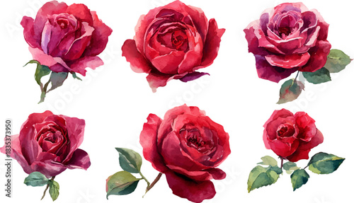 set of red roses isolated
