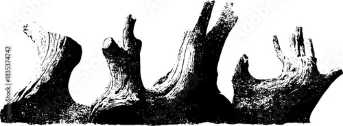 Black and white stencil of beached driftwood for rustic nature design
