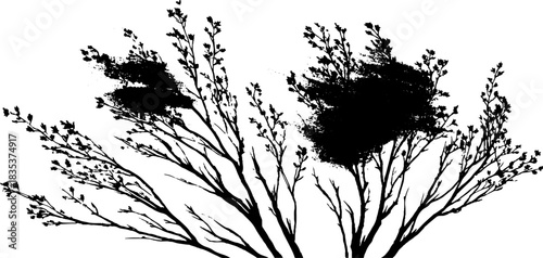 Monochrome stencil illustration of bare branches with textured leaves for design