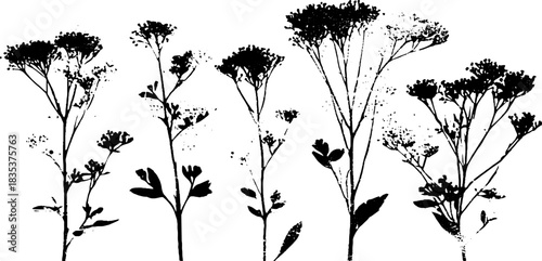 Black and white stencil illustration of delicate floral clusters for artistic inspiration