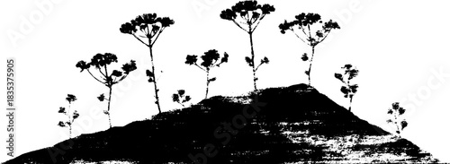 Black and white stencil of rough hillside with heath plants for nature design