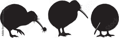 Stylized black kiwi bird silhouette surrounded by fern fronds and a circular border emblematic of new zealand culture and nature