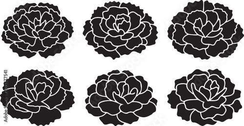 Carnation peony flower silhouette collection black outline white contour line illustration six blossom design elements set vector