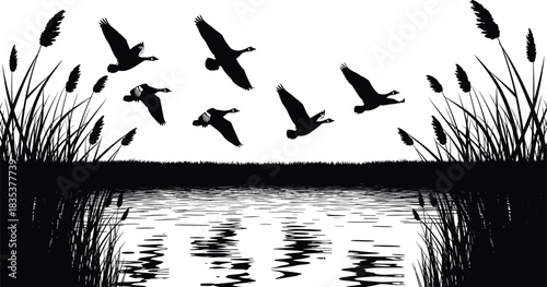 Silhouette of Canada Geese Flying Over Water with Reeds and Cattails, Scenic Wetland Landscape Design for Wildlife, Nature, Hunting, and Vector Illustration