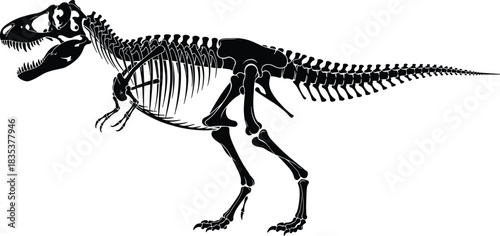 Tyrannosaurus rex skeleton side view, dinosaur bones silhouette, prehistoric creature anatomy, cad drawing, flat vector illustration, black fossil art
