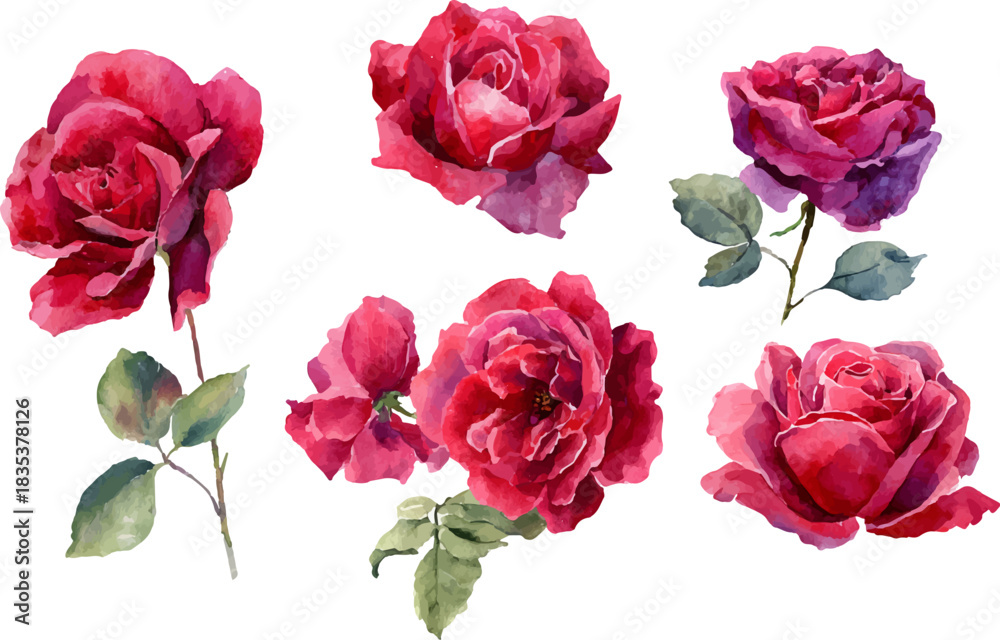 Fototapeta premium bouquet of roses