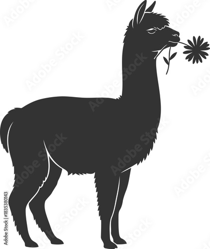 Silhouette of an alpaca holding a flower in its mouth