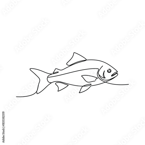Fish minimalist marine one line drawing vector illustration