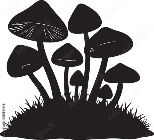 Hand drawn mashroom illustration isolated on white background