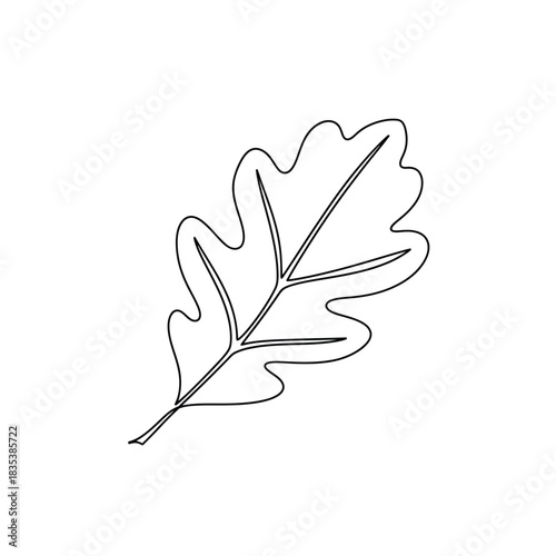 Simple oak leaf botanical minimalist outline vector illustration