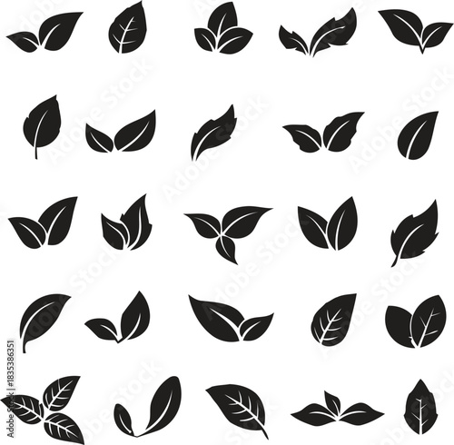 health, various, green, arrangement, leaf, nature, assortment, design, black, growth., white, (43), single, description:, graphic, growth, foliage, icons, collection, products, clean, arrangements