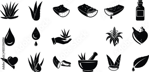 Aloe vera icon set: plant, gel, oil, natural health care symbols. Vector