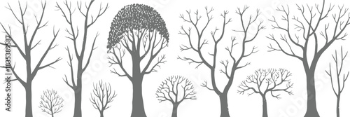 Birch and Poplar Tree Silhouettes Presented as Clean Vector Illustration for Natural Woodland Elements, Forest Backgrounds, Landscape Design, and Botanical Creative Projects