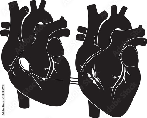 set off bundle anatomical heart vector clip art flat design