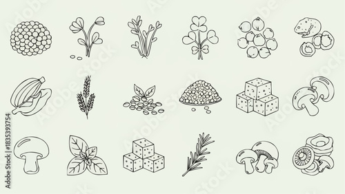 Organic Food Ingredient Icons Set in Minimalist Line Art Style, Featuring Fresh Herbs, Vegetables, Fruits, Grains, and Plant-Based Proteins for Healthy Culinary Design